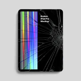 Dc Broken I Pad Pro